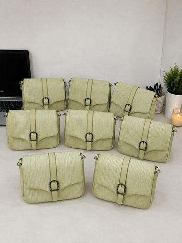 Ladies handbag
